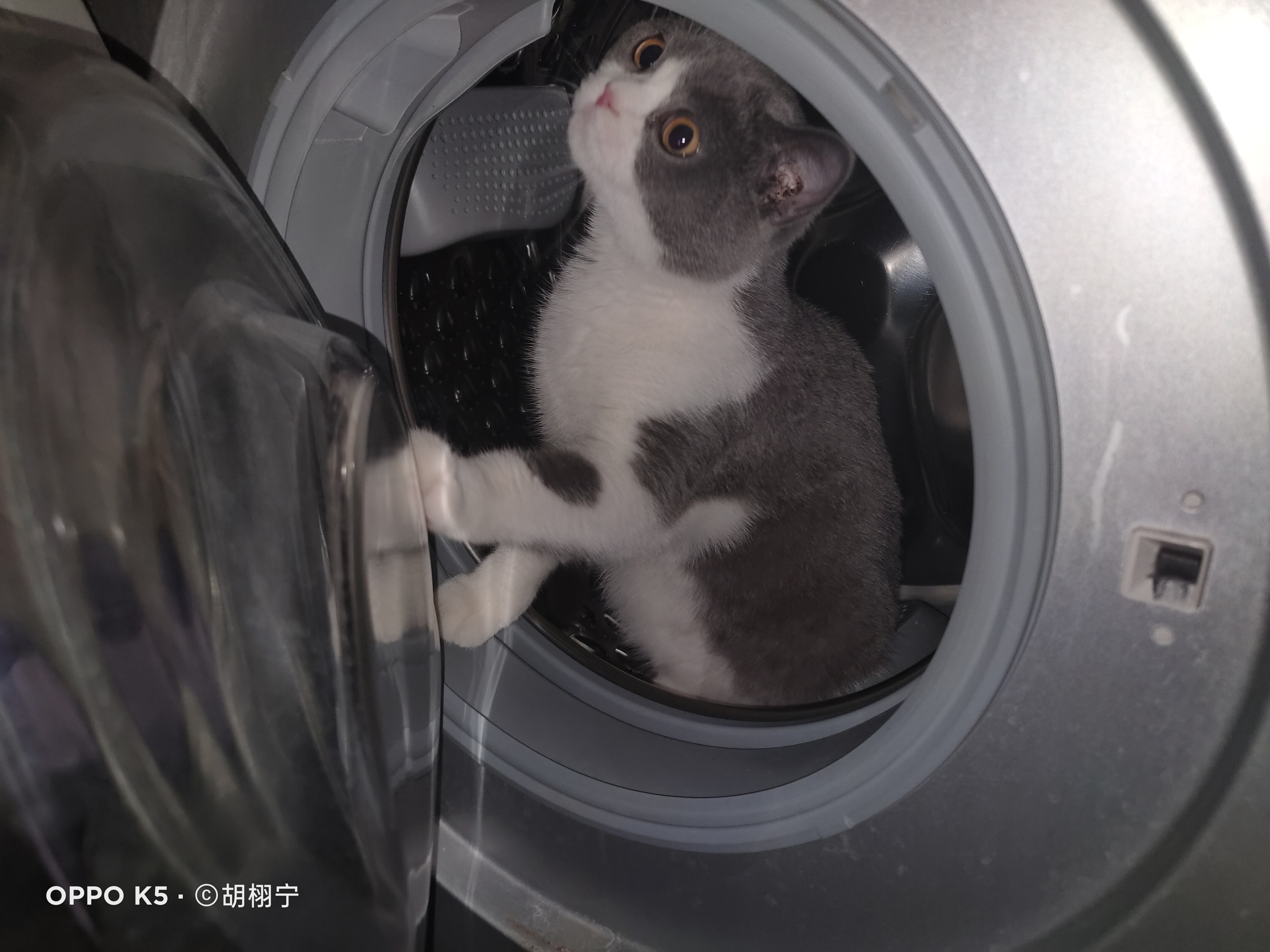千禧